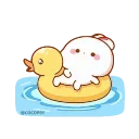 🦆