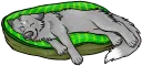 😴