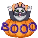 🎃