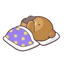 😴