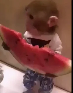 🍉