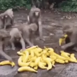 🍌