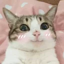 😊