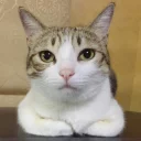 😑
