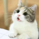 😺