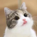 😛