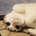 🙃