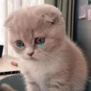 😢