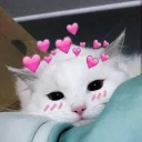 😍