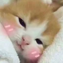 😴