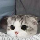 👀