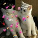 ❤️