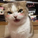 😠