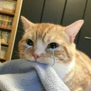 😭