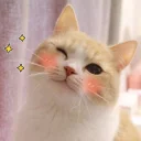 😉
