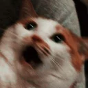 😨