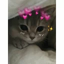 ❣