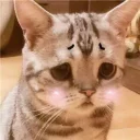 😞