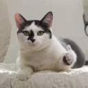 👍