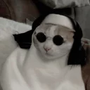 😎