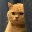 🤫