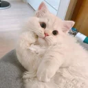 😕