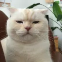 😑