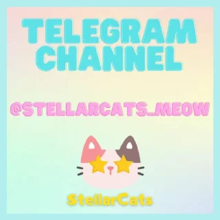 🐱