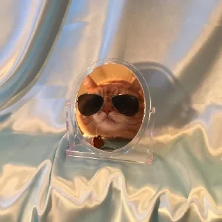 😎