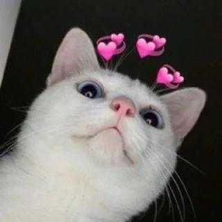 🙂