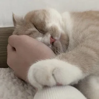 💕