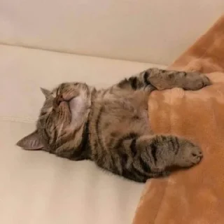 😵