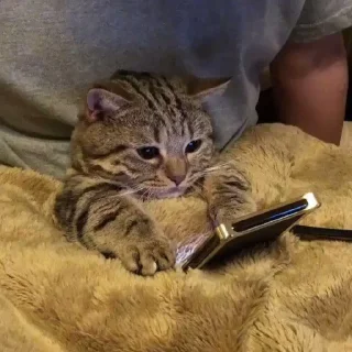 📱
