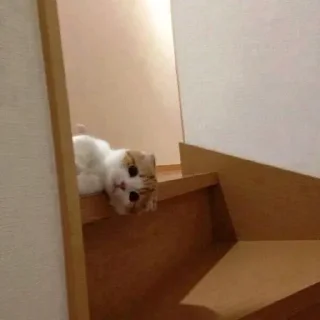 ☺️