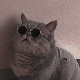 😎
