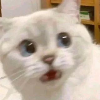 😧