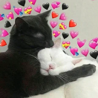 💞
