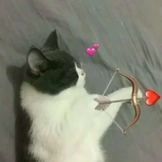 💘