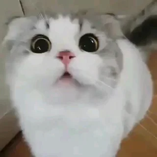 😟
