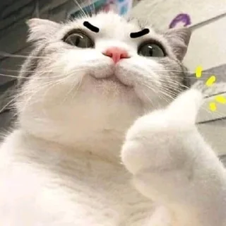 👍
