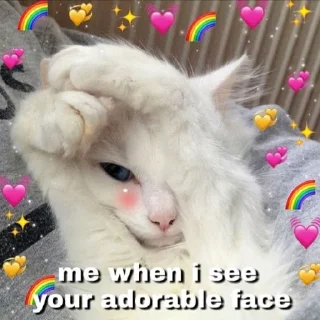 😻