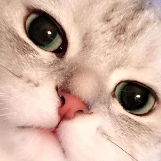 🤨