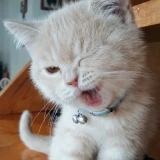 😜