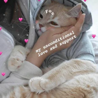 💖
