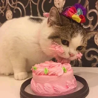 🎂
