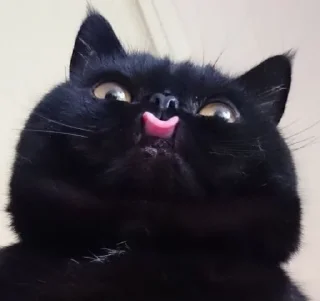 😛