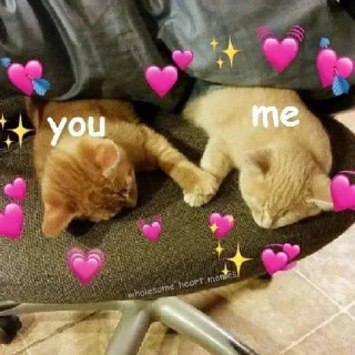 💞
