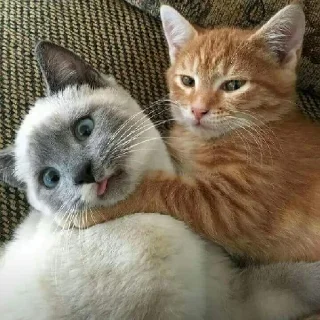😵