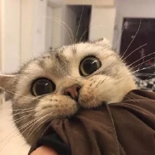 🥰