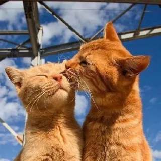 😘